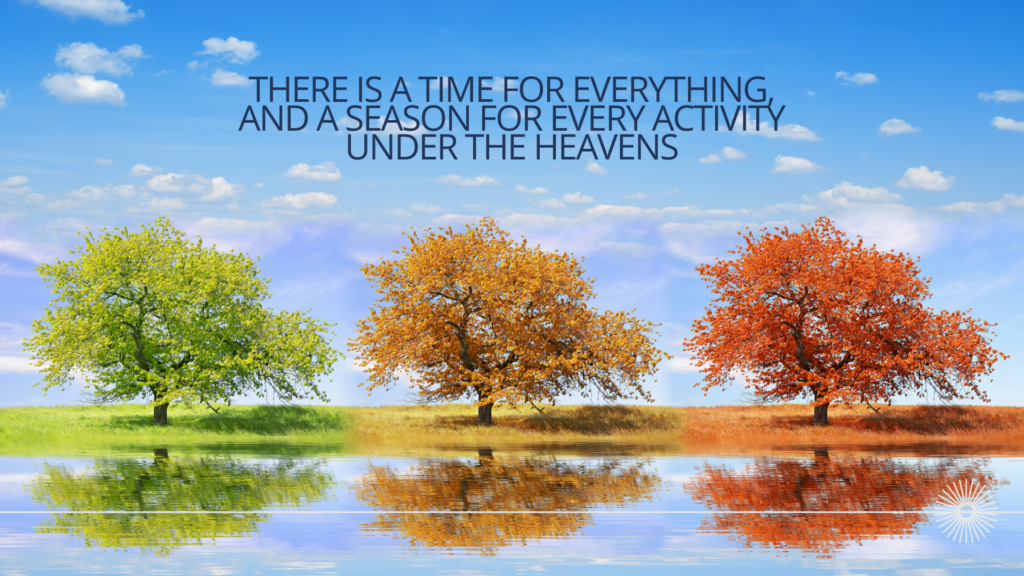 What time is it? Changing seasons trees with scripture